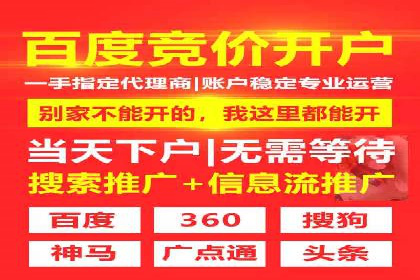 竞价广告案例分析：品牌成功之道